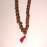 Rudraksha Mala 108+1; 4 Größen